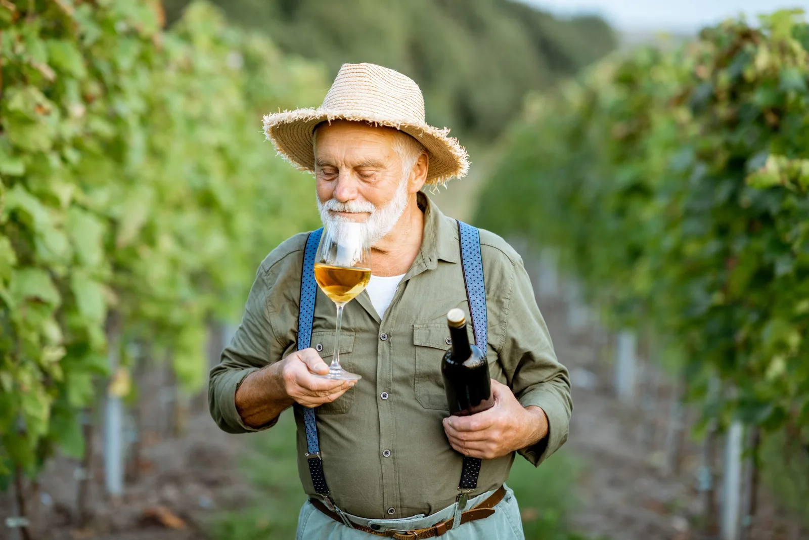 senior winemaker with wine on the vineyard