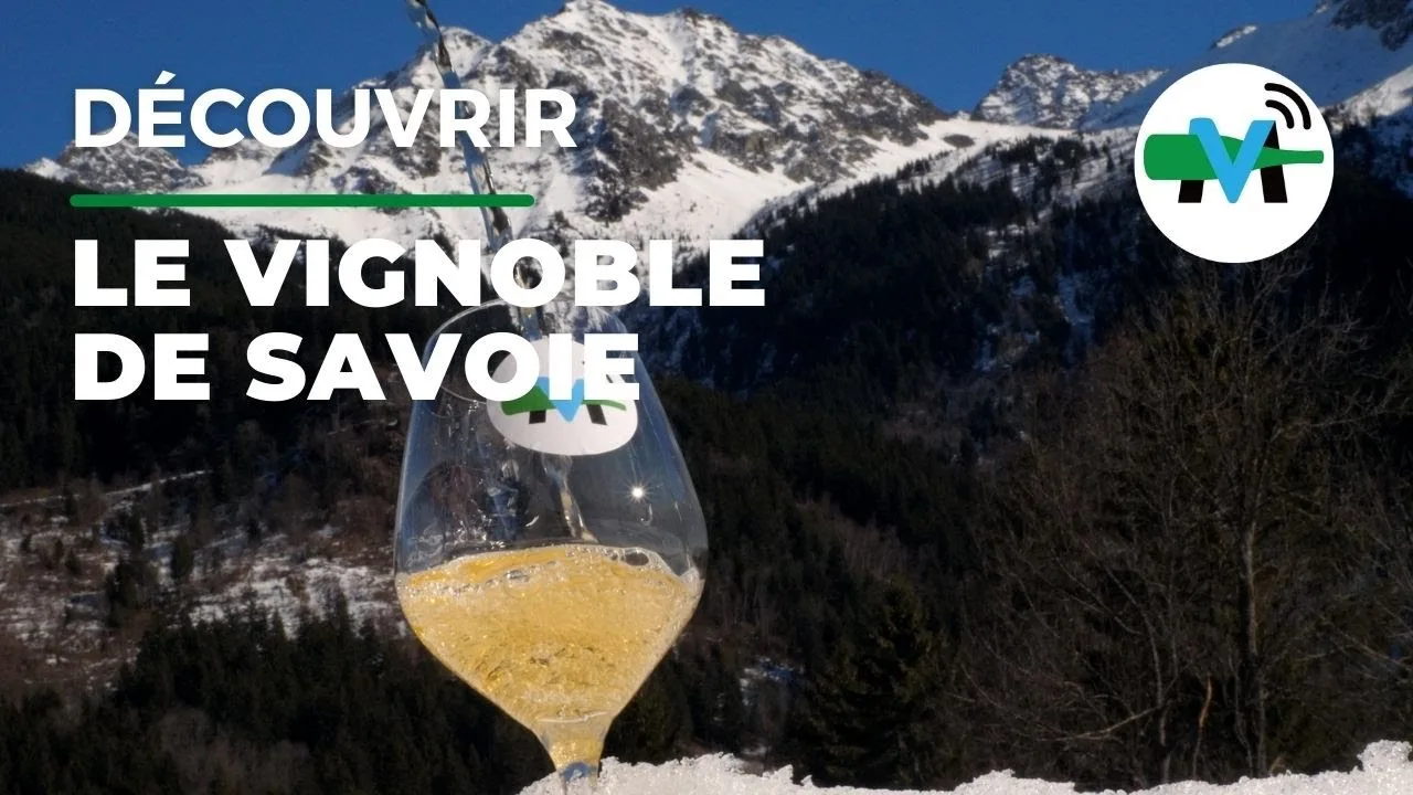 vins de savoie en ligne : le guide d’achat complet